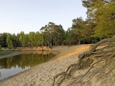 Landschap op de route Compleet Dagje Twente