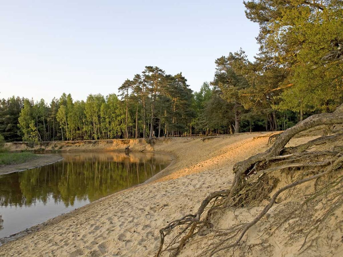 Landschap op de route Lutterzand Kickbike