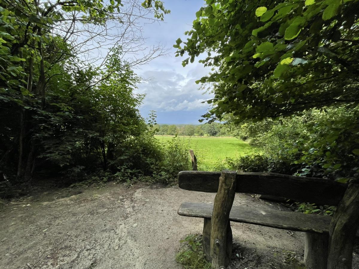 Landschap op de route Twentse Bergen